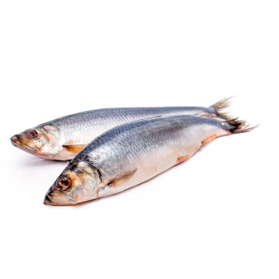 Сельдь 500+ с/м