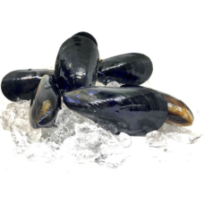 Мидии целые в ракушке, 40/60