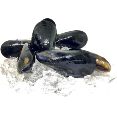 Мидии целые в ракушке, 40/60