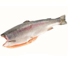 Форель с/м, б/г (вес 0,9-1,4)