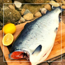 Кета потрошеная, без головы 